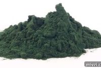 Spirulina Benefits: Boost Energy, Immunity, and Nutrition
