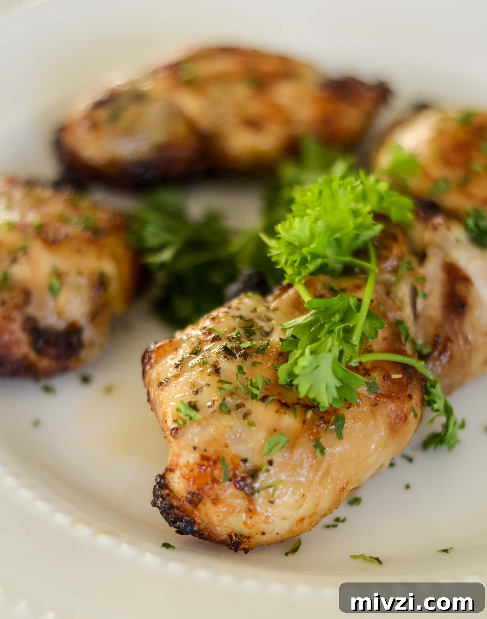 Budget-Friendly Cheap Air Fryer Recipes for Every Meal 11 img 10011 10