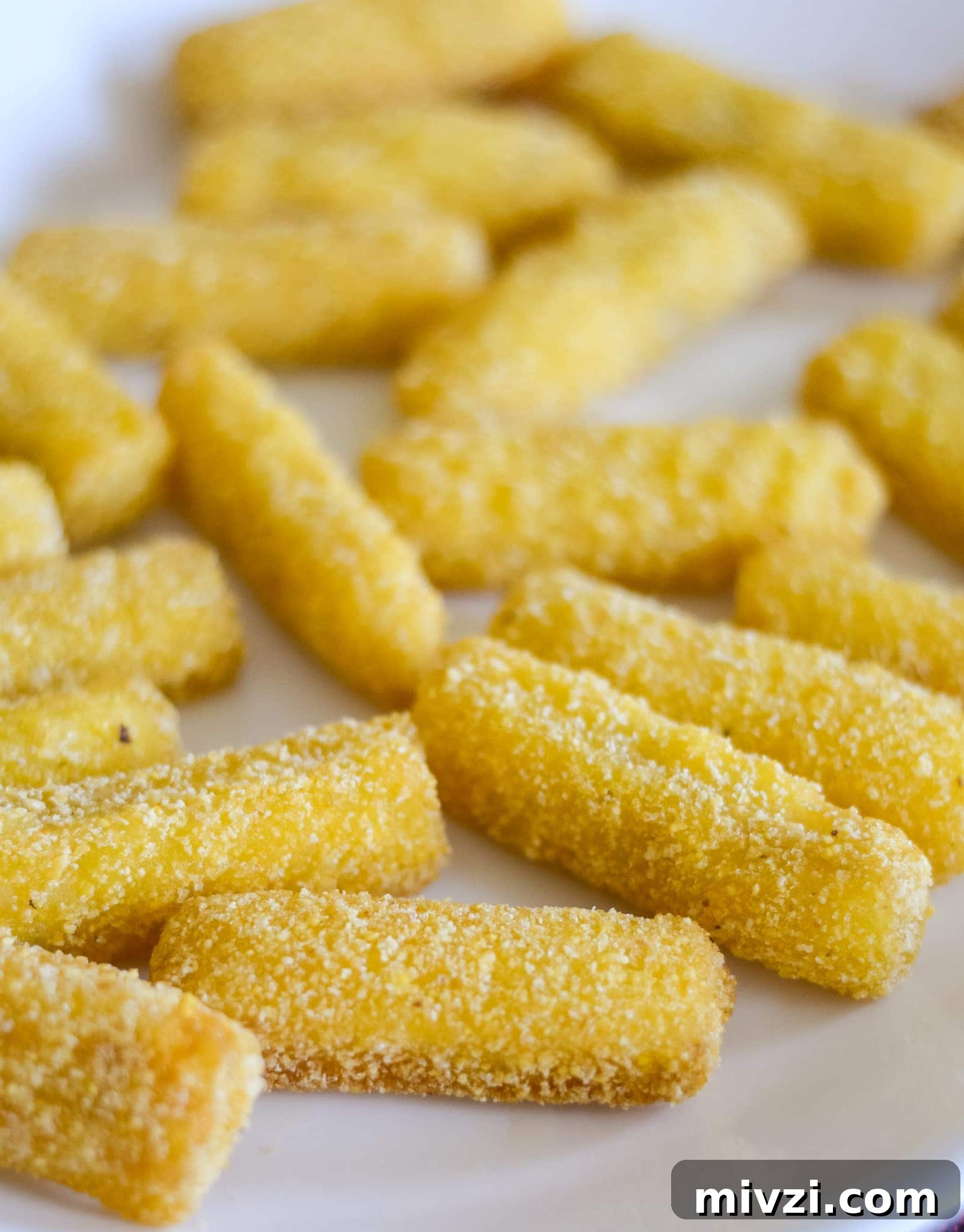 Budget-Friendly Cheap Air Fryer Recipes for Every Meal 16 img 10011 15