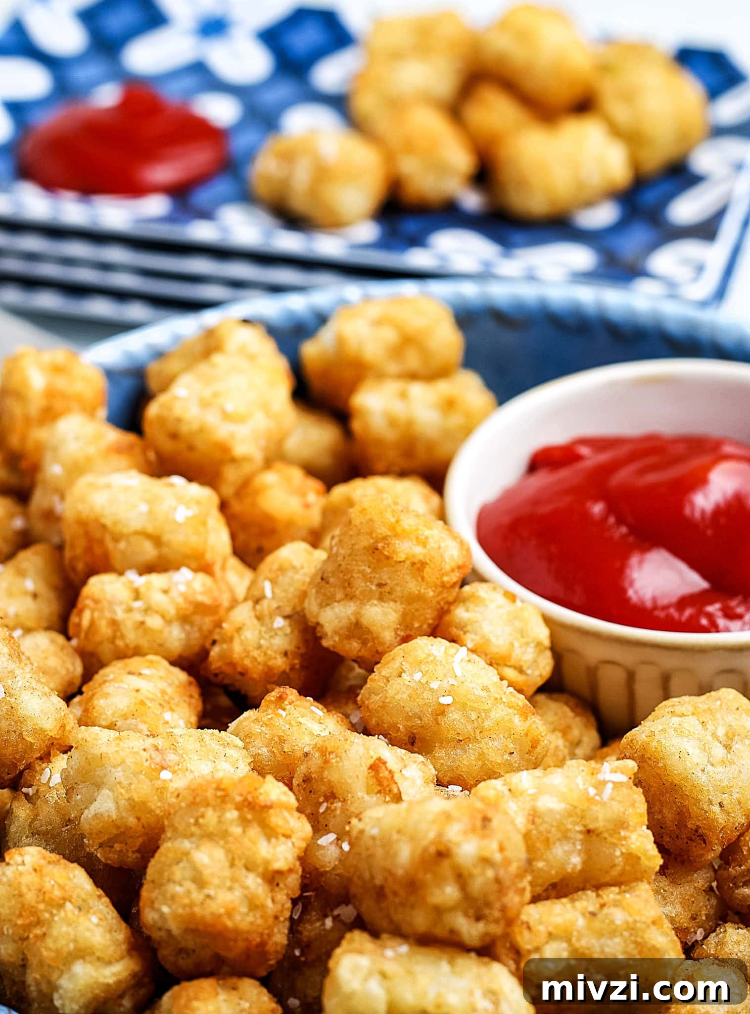 Budget-Friendly Cheap Air Fryer Recipes for Every Meal 17 img 10011 16