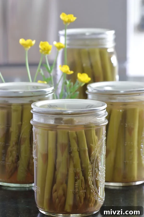 1 quart and 3 pint jars of canned pickled asparagus with a small arrangement of buttercup flowers
