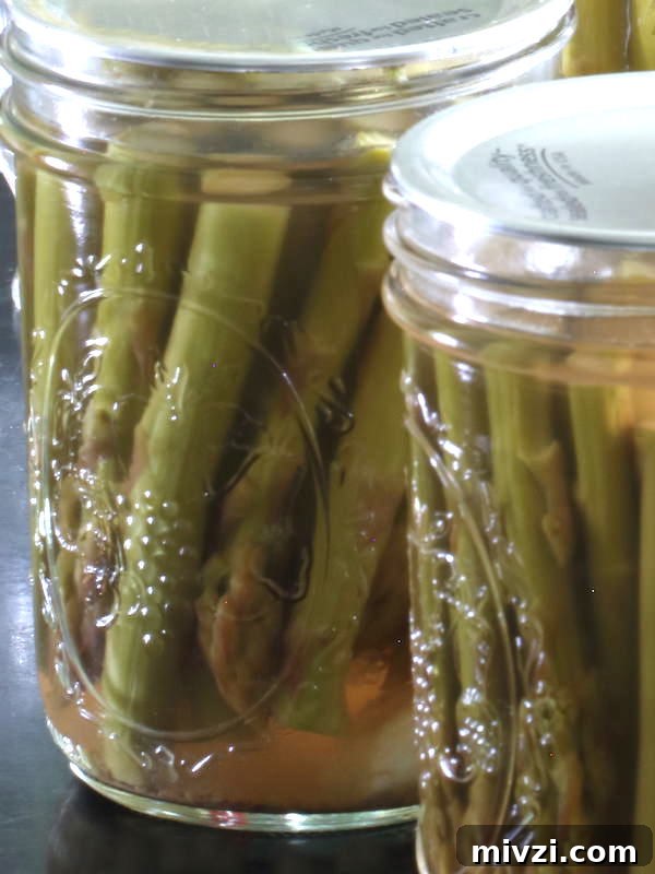 Close up of two jars of pickled asparagus