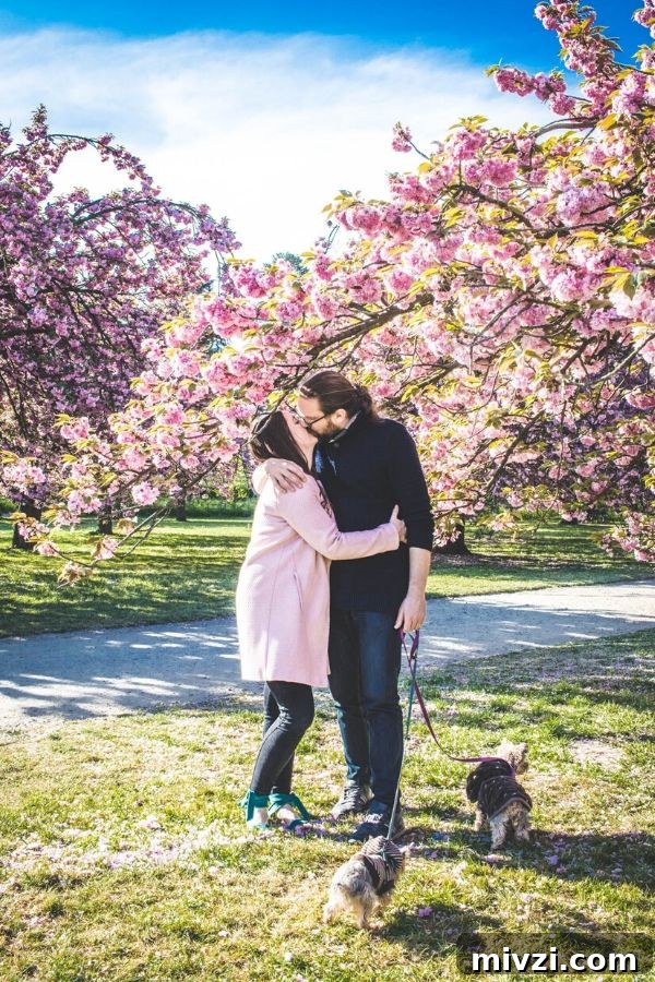 a couple kissing in front of a cherry blossom tree in Paris