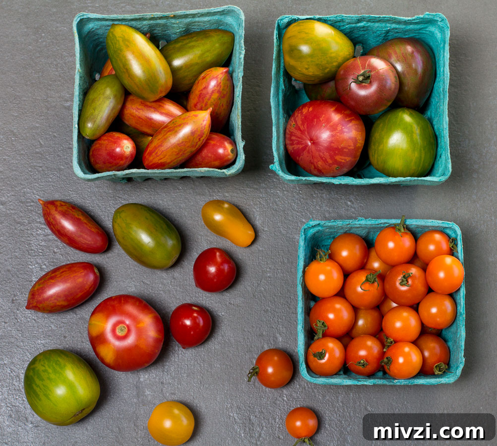 Heirloom Tomatoes Varieties