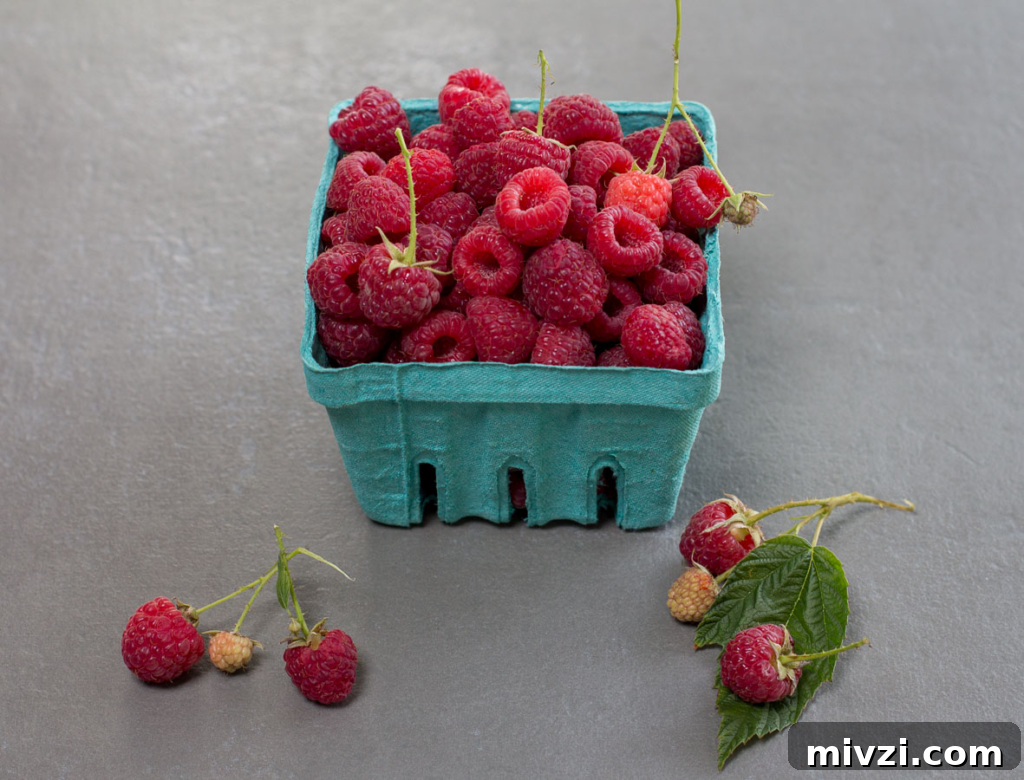 Picked raspberries