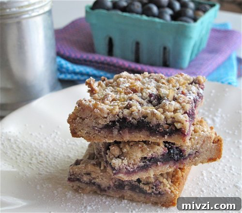 Blueberry Oat Linzer Bars