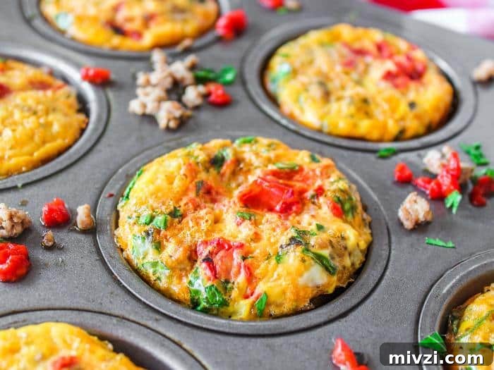 15+ Ground Beef & Turkey Recipes for Weeknight Dinners 20 img 10801 19