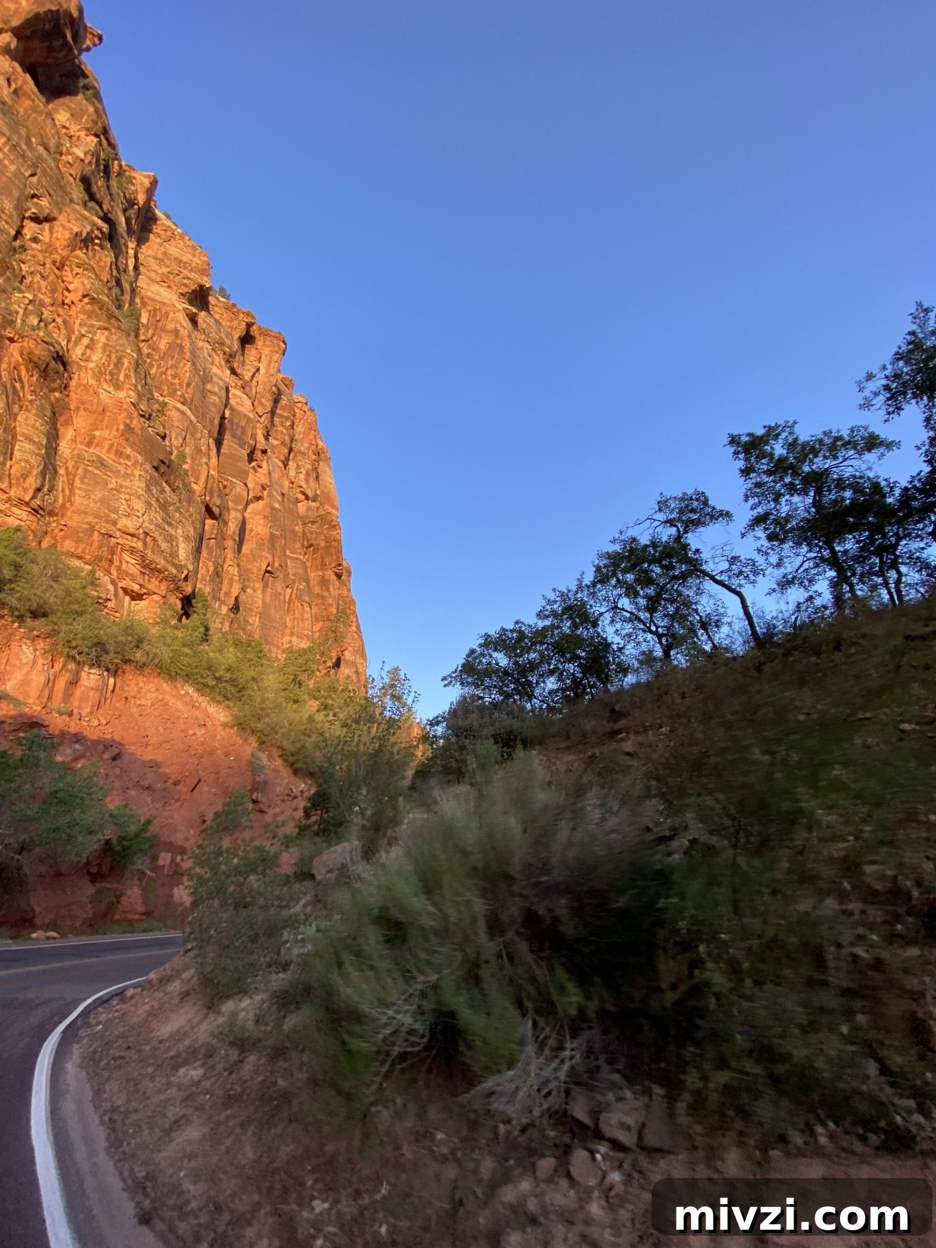 driving through Zion National Park at sunset