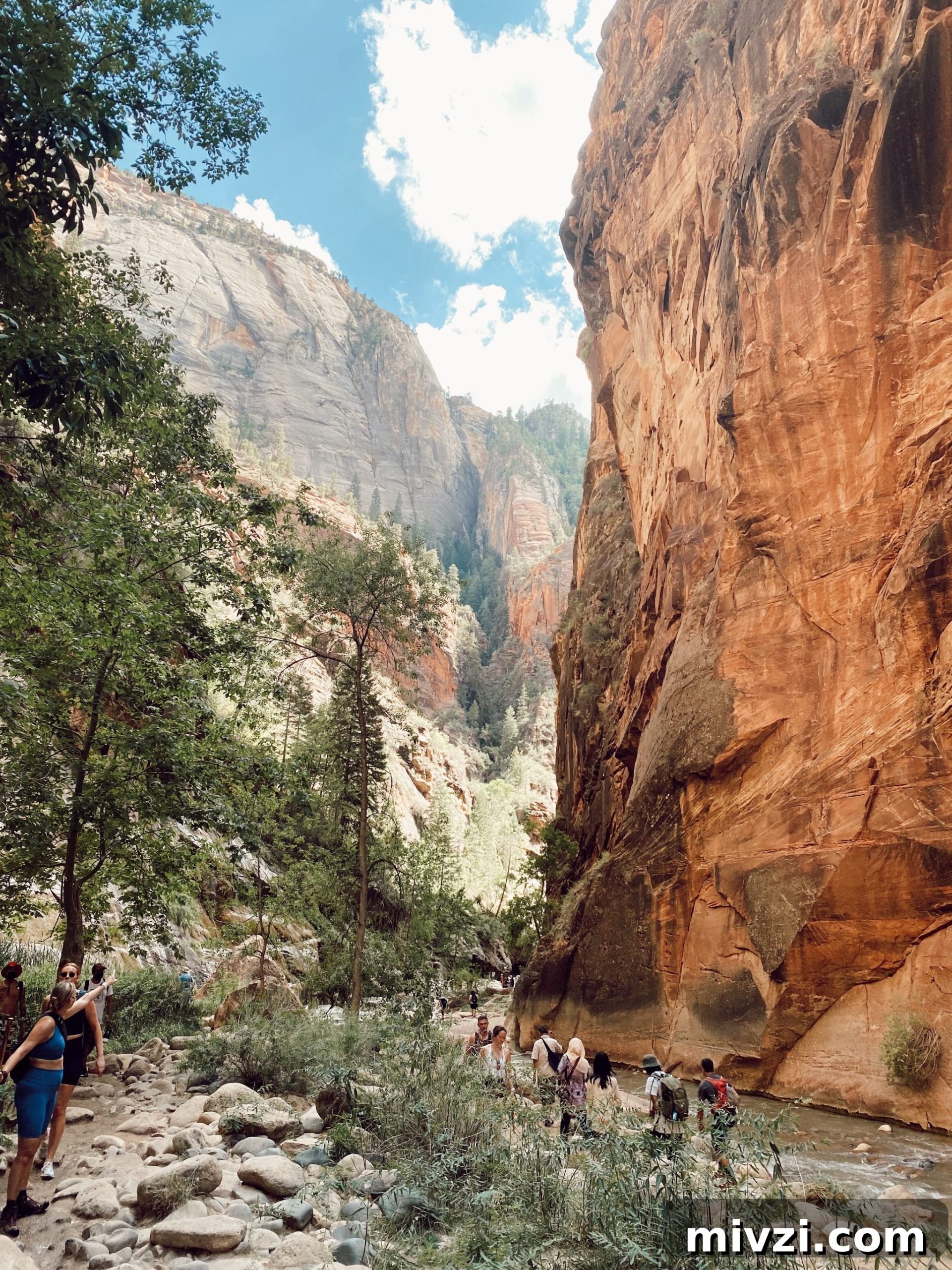 stunning landscape in Zion National Park