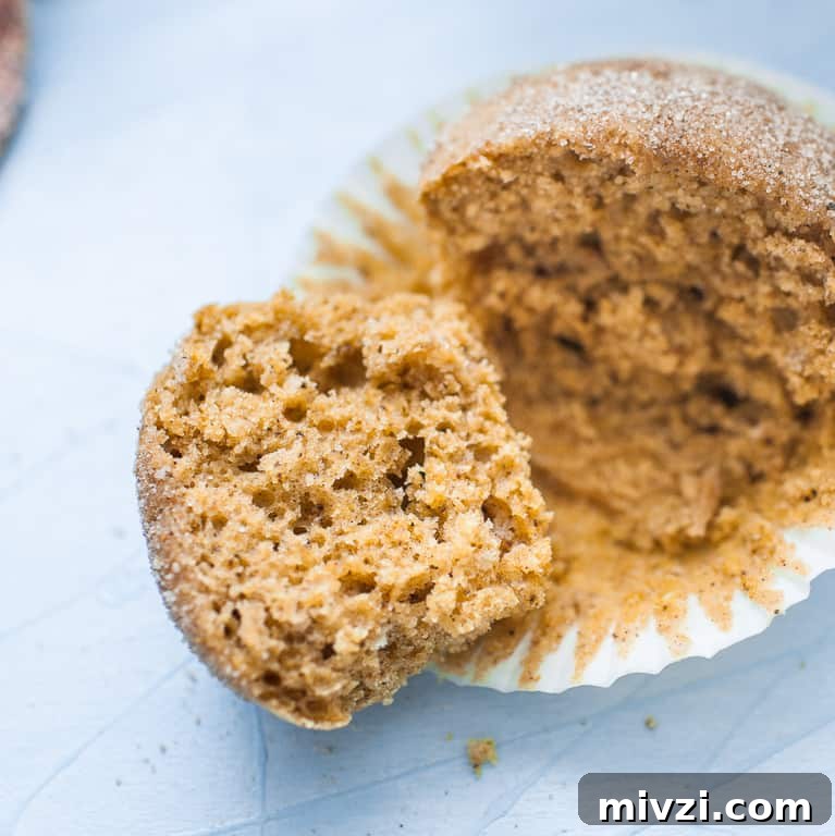 Celebrate the fall season with Pumpkin Snickerdoodle Muffins.
