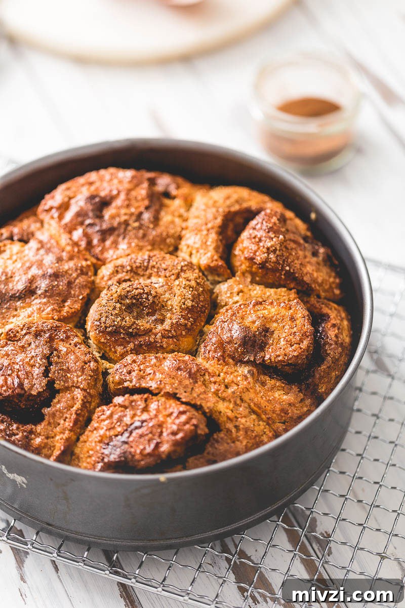 It's said that our sense of smell invokes profound feelings and emotions within us. Baking this spelt cinnamon bun cake put that to the test and confirmed that a tantalising aroma can put my brain into sensory overload. This recipe is loaded with cinnamon and cardamom infused with soy milk to make a sweet bake which is a traditional Scandinavian treat and for good reason, because it's utterly irresistable!