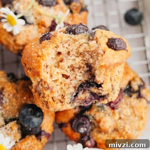 A close up of blueberry banana muffins, one has a bite taken out of it.