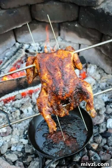Rotisserie Chicken with Spicy Cilantro Mayo