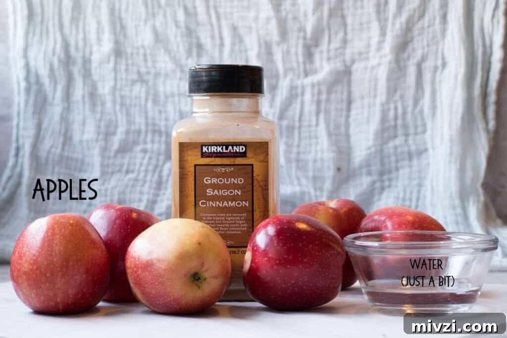 Homemade Applesauce Recipe: Smooth, Natural, and Easy to Make 3 img 1345 2