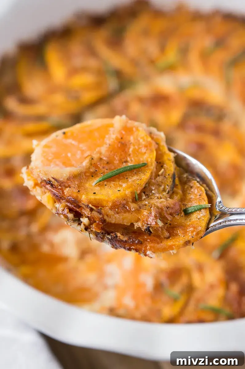 close up of scalloped sweet potatoes on a spoon