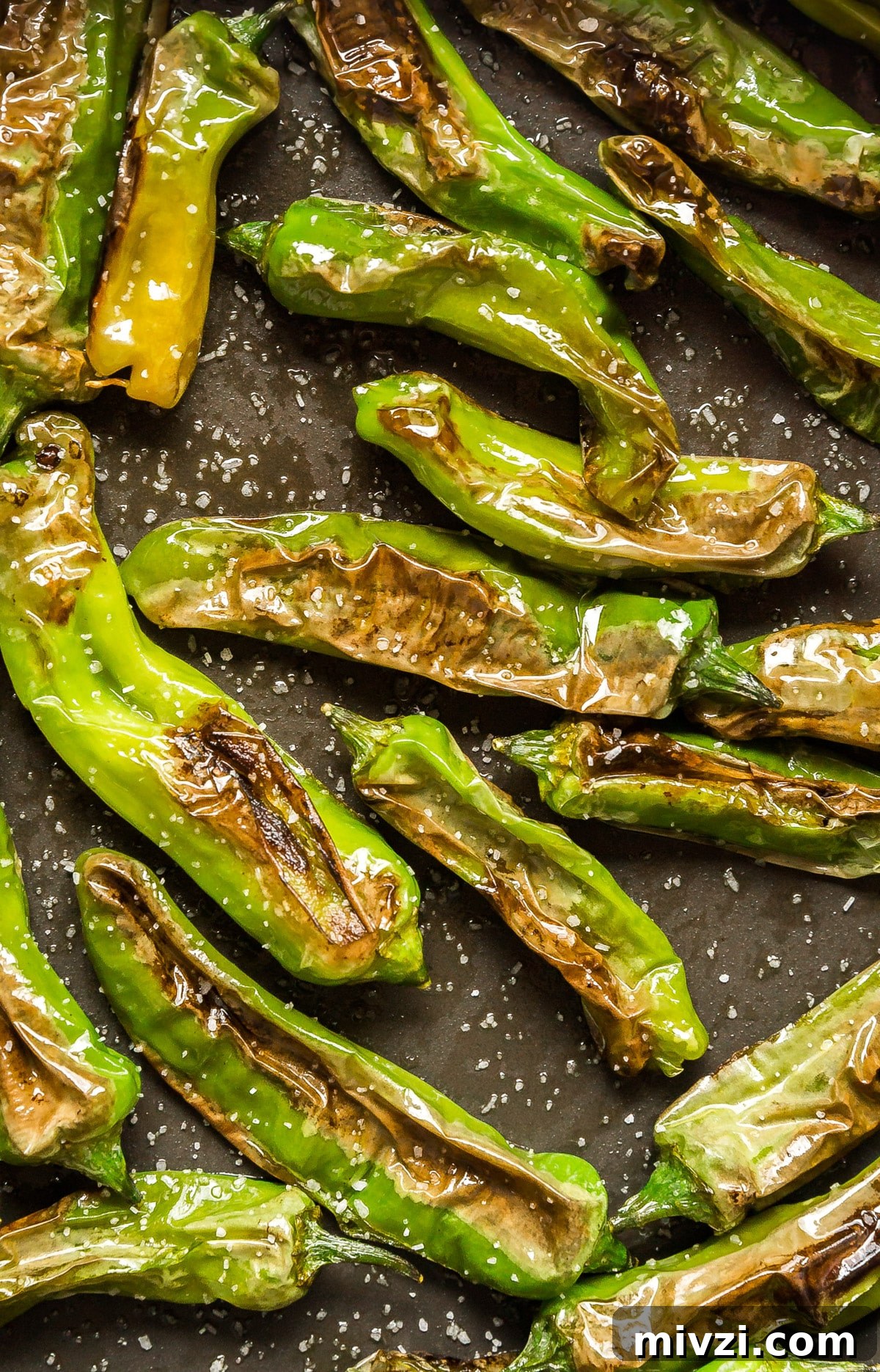 A close up overhead image of blistered shishito peppers in a pan.