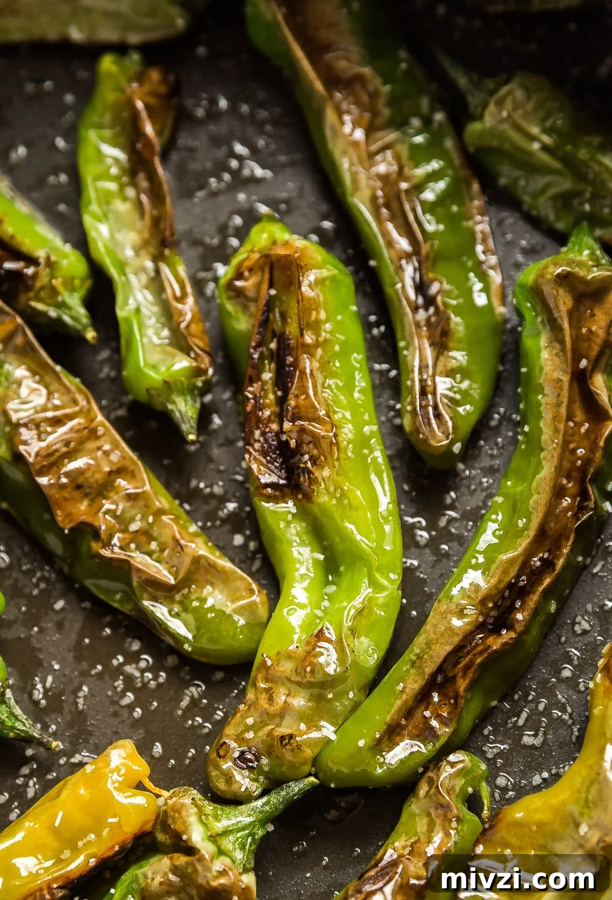 Shishito peppers salted in a pan.