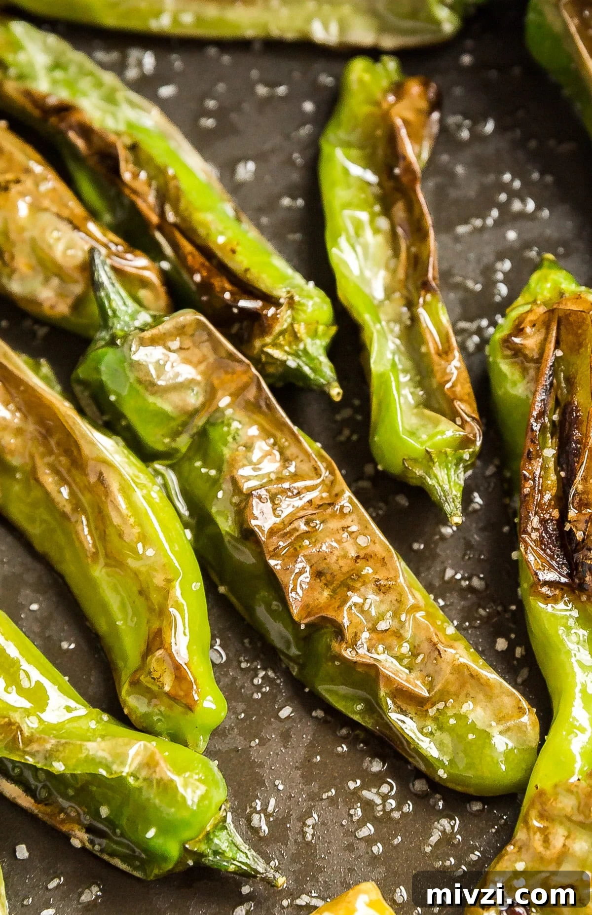 A close up of a blistered shishito pepper in a pan.