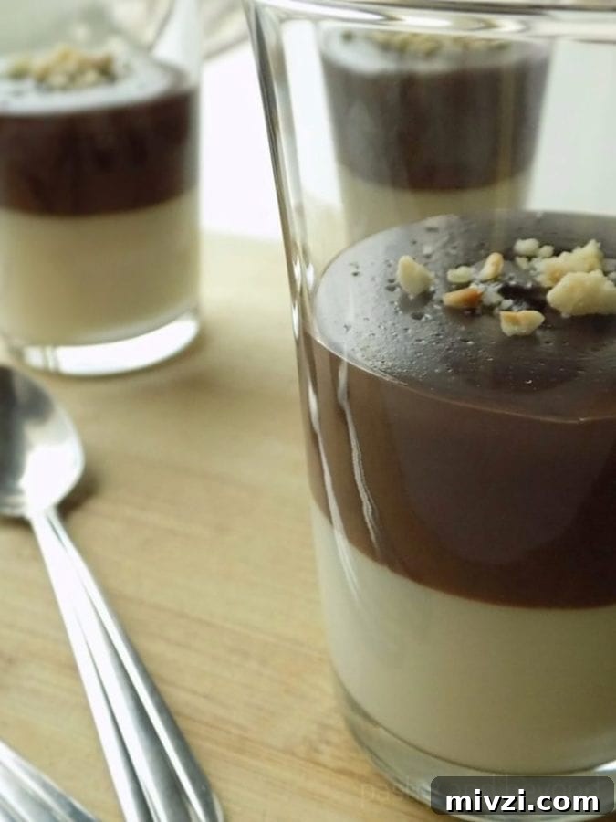 two layer chocolate and vanilla pudding from Pastry and Beyond