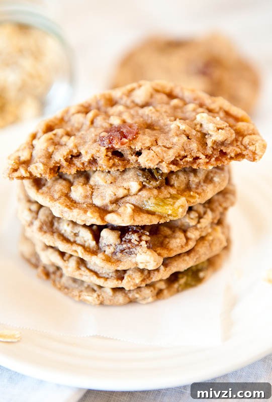 Stack of Oatmeal Raisin Cookies