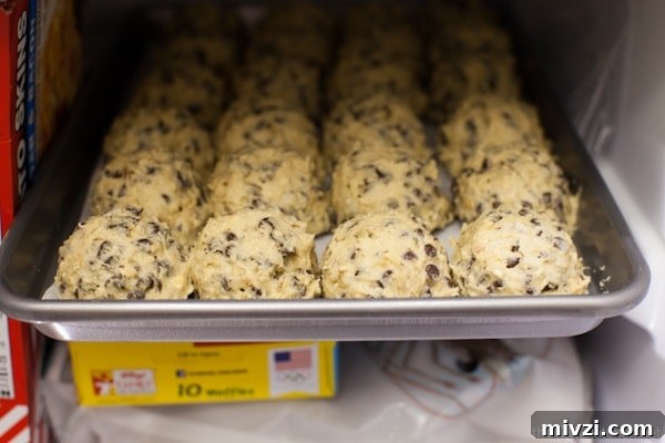 How to Freeze Cookie Dough How to Freeze Cookie Dough