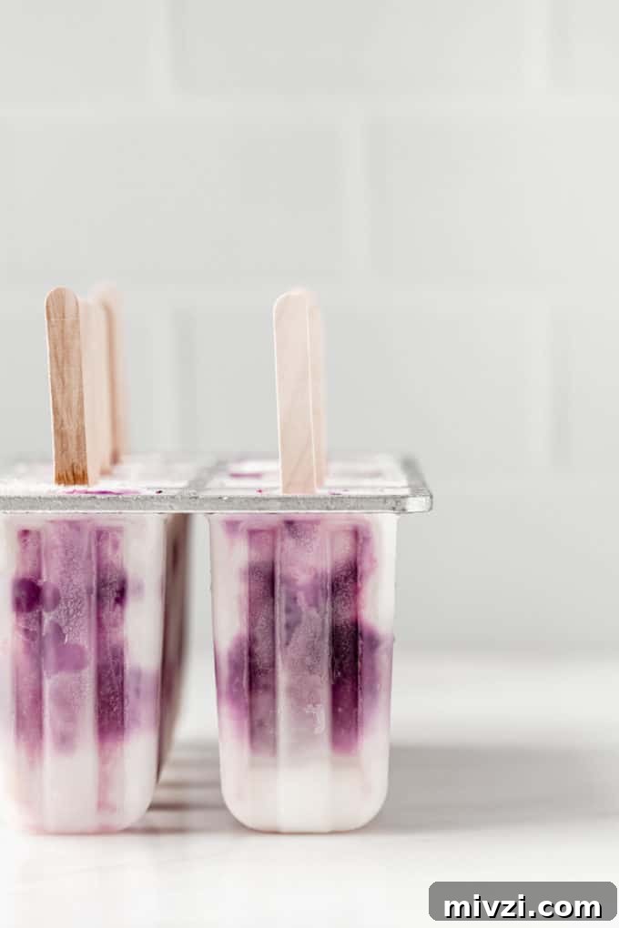 Blueberry Greek Yogurt Popsicles Recipe: Creamy Frozen Treats 3 blueberry greek yogurt popsicles in a popsicle mould