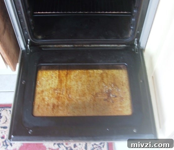 Natural Oven Cleaning