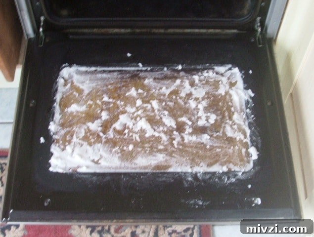 Natural Oven Cleaning