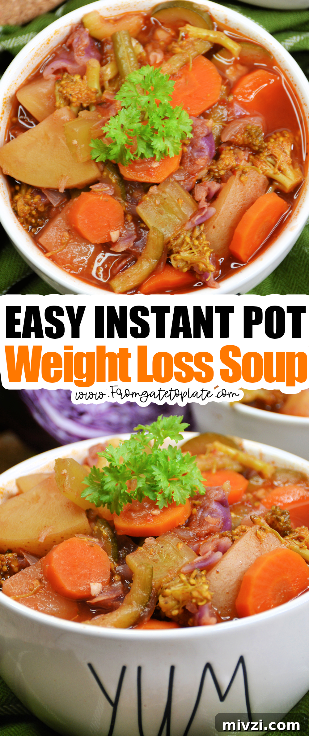 Low-Calorie Instant Pot Soup for Weight Loss Results 8 img 1648 11