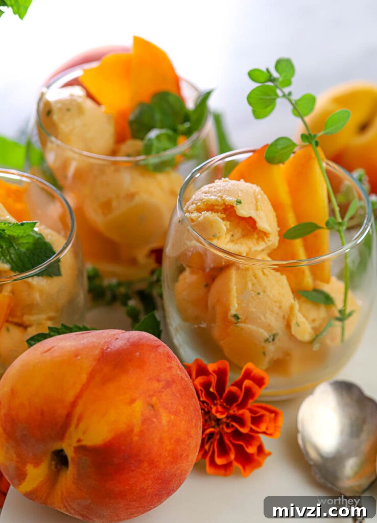 Refreshing Peach Mint Sorbet Recipe – Simple Summer Dessert 3 glasses filled with peach sorbet