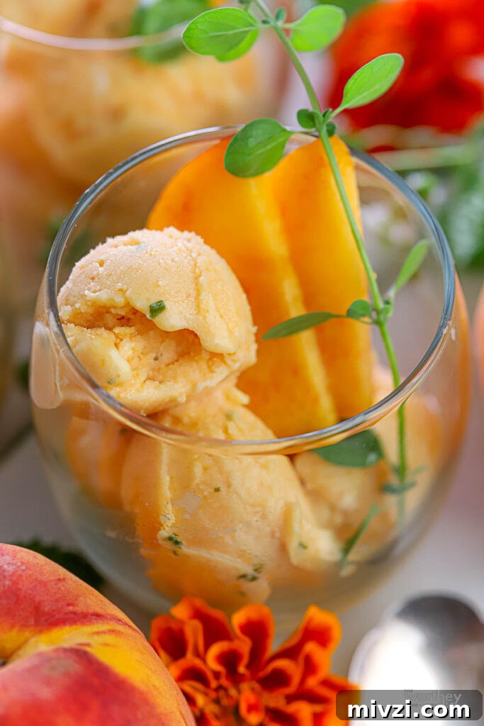 Refreshing Peach Mint Sorbet Recipe – Simple Summer Dessert 6 a serving glass filled with peach sorbet and slices of peach