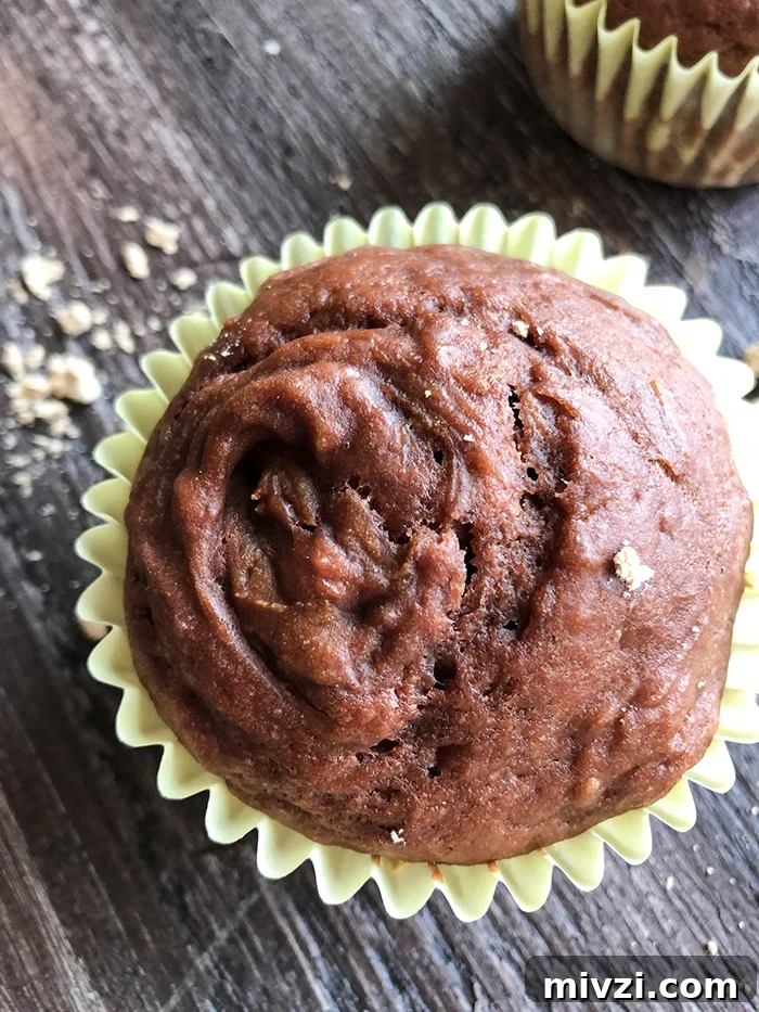 Chocolate Muffins for Weight Watchers: Low-Point Recipes That Taste Decadent 3 Skinny Chocolate Greek Yogurt Muffins