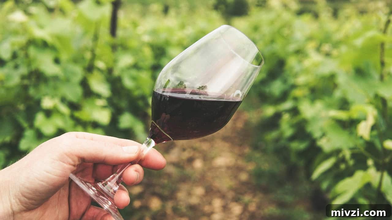 17 French Wines to Pair with Any Occasion 7 Grape Things/Pexels