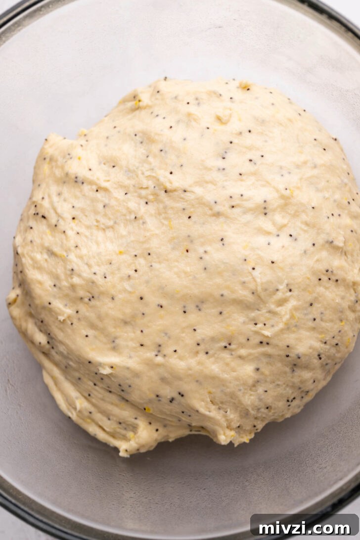 Dough before it rose.