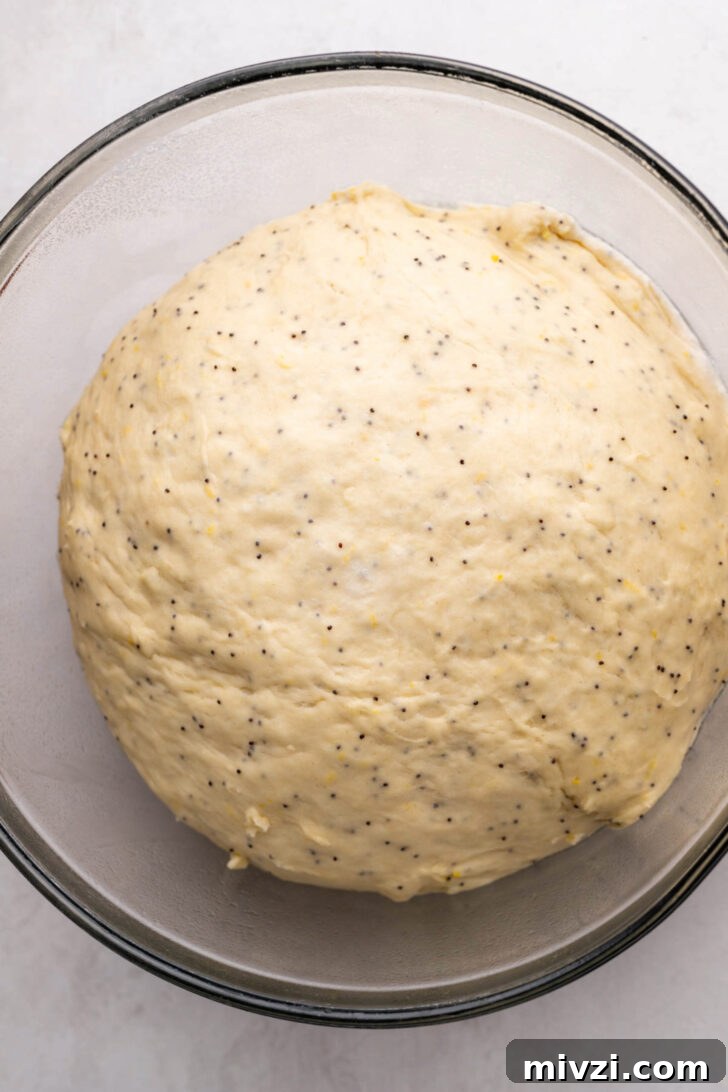 Dough after it's risen.