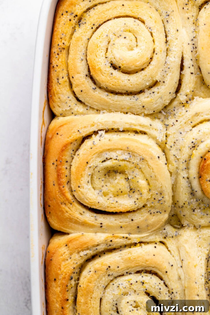 Baked rolls in a pan.