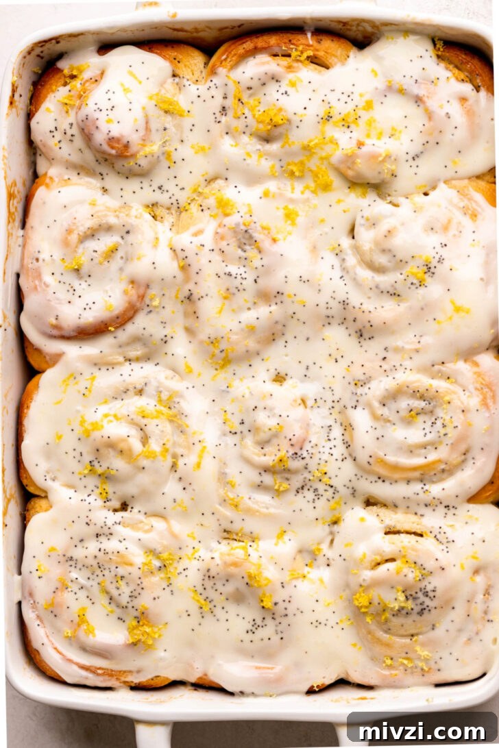 Top view of rolls.