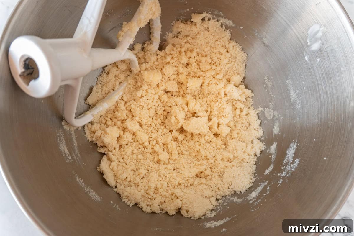 Delicious Birthday Cupcake Recipes for Any Celebration 7 sandy texture of butter and dry ingredients mixed.