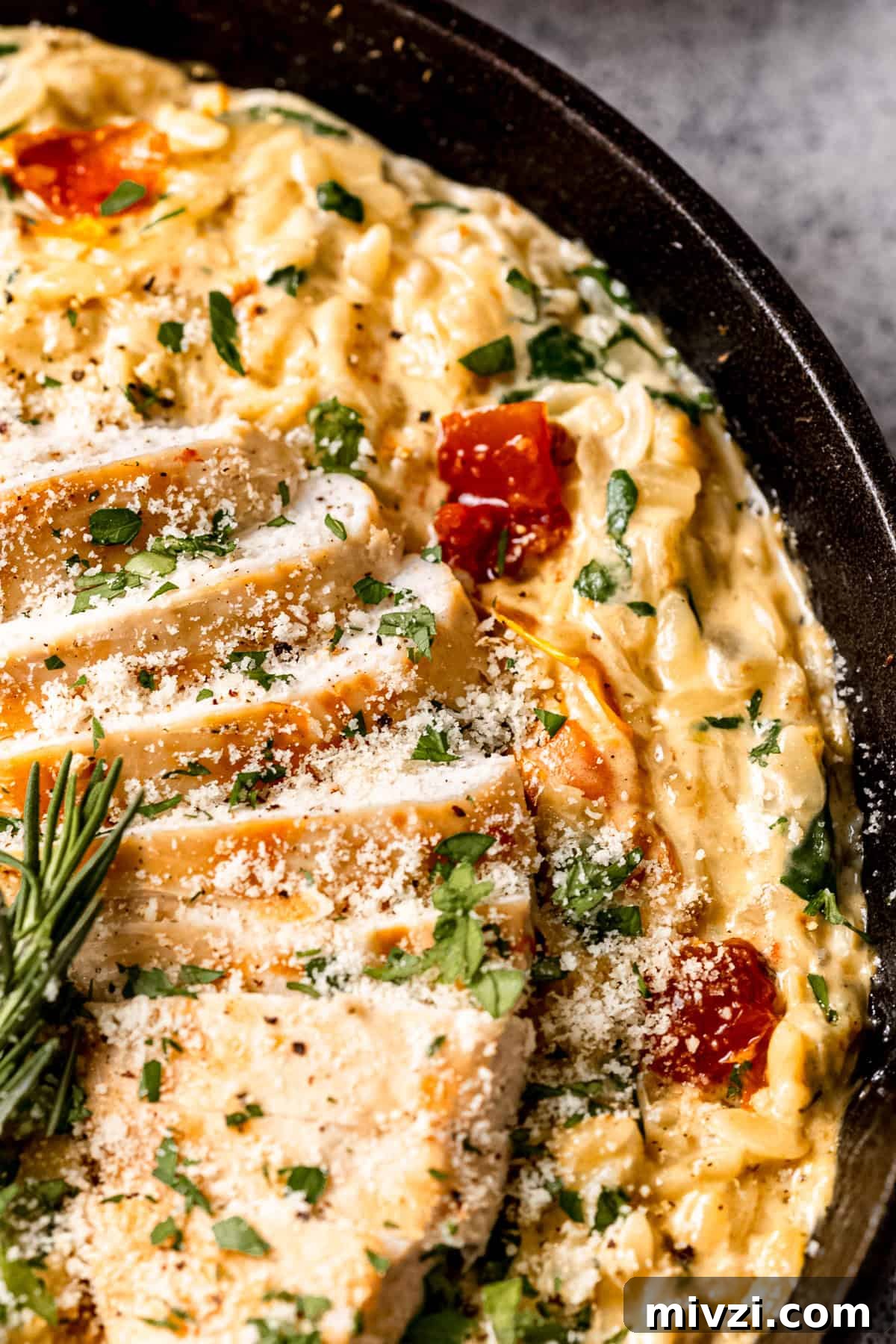 Close up of Tuscan chicken and orzo.