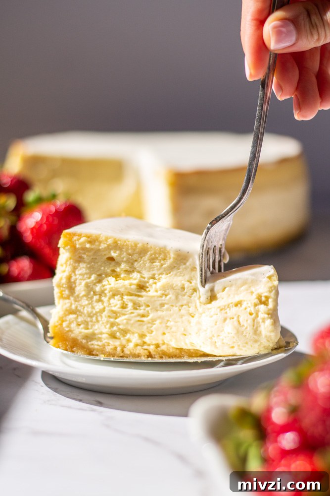 Libby’s Classic Cheesecake Recipe for Creamy, Silky Texture 5 img 2051 4