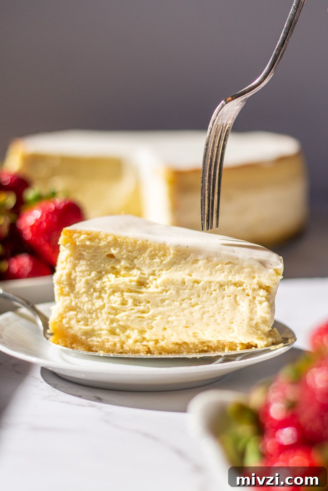 Libby’s Classic Cheesecake Recipe for Creamy, Silky Texture 9 img 2051 8