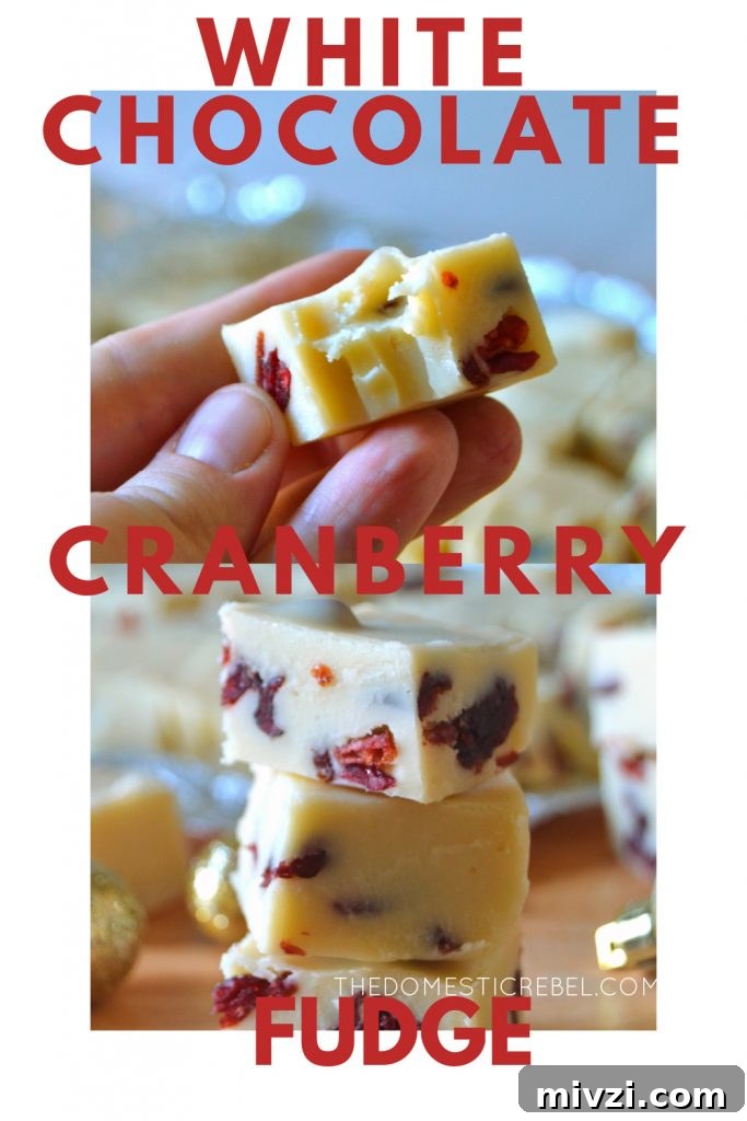 Creamy White Chocolate Cranberry Fudge Recipe 8 White chocolate cranberry fudge photo collage