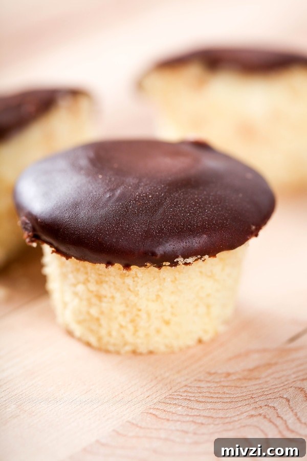 Boston Cream Pie Cupcakes Recipe with Vanilla Custard Filling 11 a vanilla cupcake topped with shiny chocolate ganache.