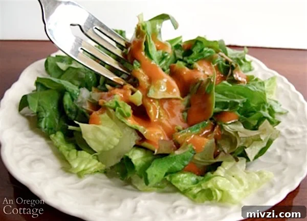 Lightened American French Salad Dressing Recipe 3 Delicious and healthy American French dressing