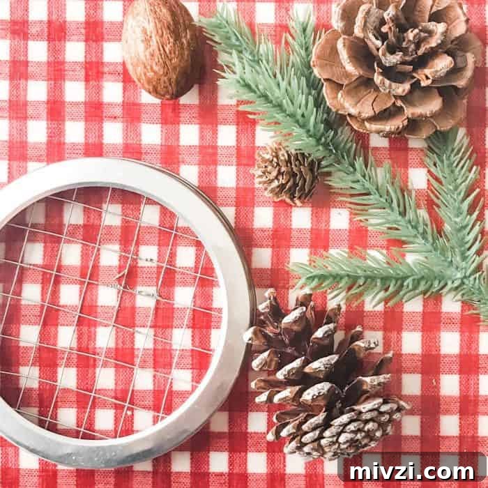 Christmas Potpourri Diffuser Ideas for Festive Home Fragrance 4 supplies to make holiday essential oil diffuser