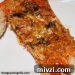Creative Recipes for Leftover Salmon: 25 Ways to Reuse Fillets 7 Pitboss Smoked Salmon Served With White Rice