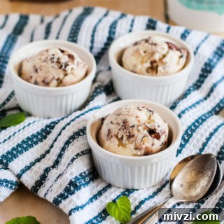 Mint chocolate chip gelato with dark chocolate almonds