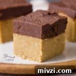5-ingredient No Bake Peanut Butter Bars take about 10 minutes to make, and are a no bake snack!