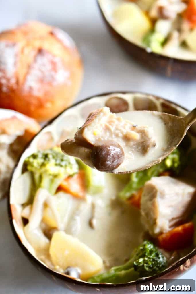 Vegan Japanese Cream Stew with Jackfruit: Creamy Plant-Based Recipe 9 A hearty serving of vegan Japanese cream stew, ready to enjoy