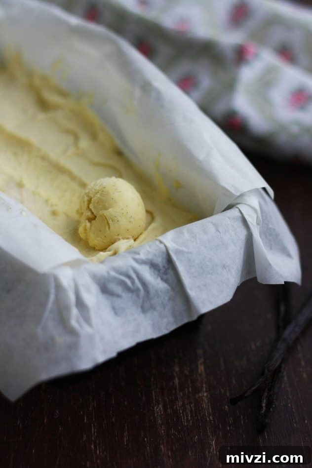 Homemade Vanilla Bean Ice Cream Recipe 3 Homemade vanilla bean ice cream ready to serve.